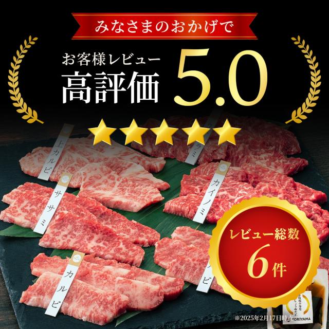 レビュー1
