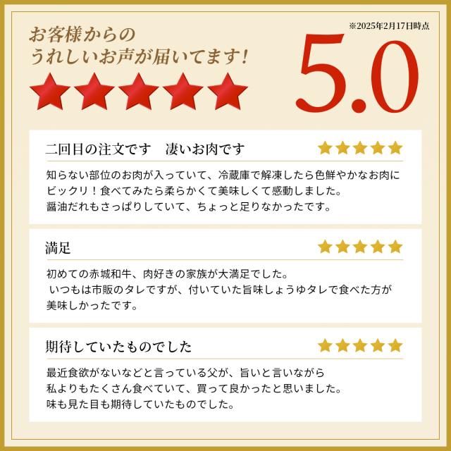 レビュー2