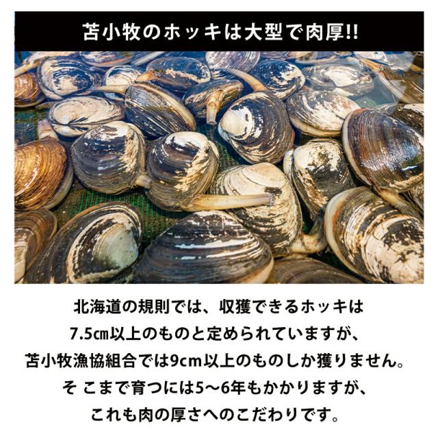 商品画像2