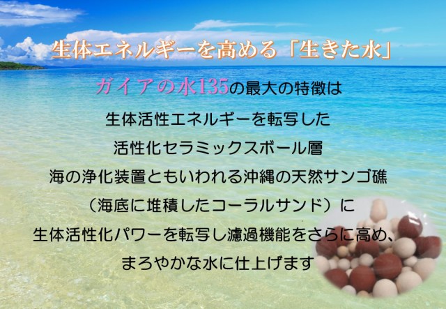 浄水器 ポット型浄水器 ガイアの水135 ビビアン 送料無料 の通販はau