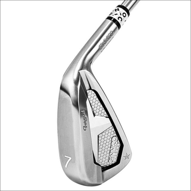 ジニコ PC アイアン 6本組(＃5-P) グラファイトデザイン TourAD AD-105/115 装着 カーボン 【カスタム】【新品】 イオンスポーツ GINNICO セット ゴルフ クラブ