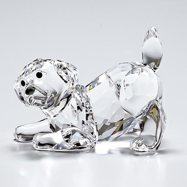 新規購入 スワロフスキー フィギュア ラブラドールの赤ちゃん Playing 犬 ドッグ オブジェ 飾り インテリア 送料無料 プレゼント 実用的 ラッピング無料 返品も保証 Www Servblu Com