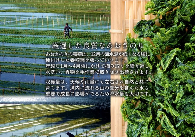 送料無料 乾燥あおさのり 安い 三重県 あおさ海苔 汐洗いあおさ g 3袋 味噌汁 海藻 高級アオサ 天ぷら 志摩英虞湾産 優品