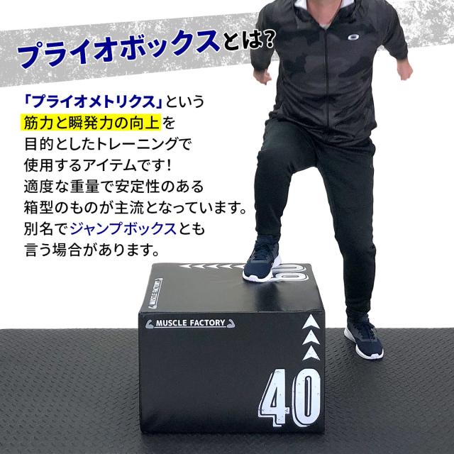 プライオボックスとは