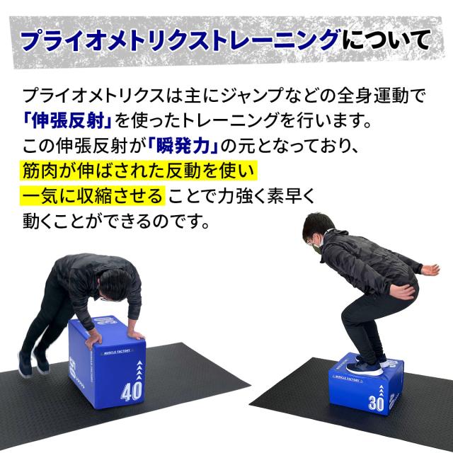 伸張反射を使ったトレーニングが出来ます