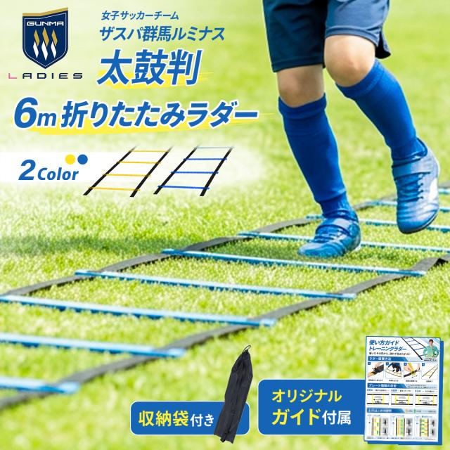 ザスパ群馬ルミナス公認！6m折りたたみラダー
