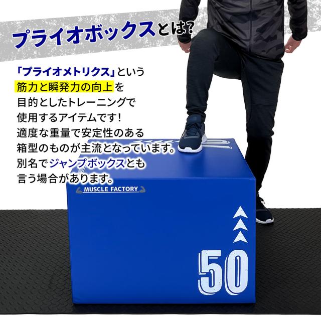 プライオボックスとは