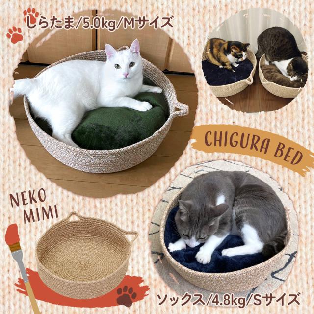 実際のペットの利用写真