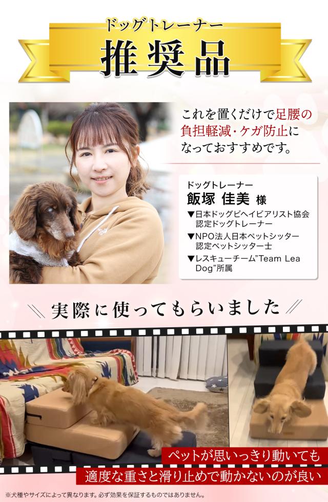 ドッグトレーナー推奨のドッグステップになります