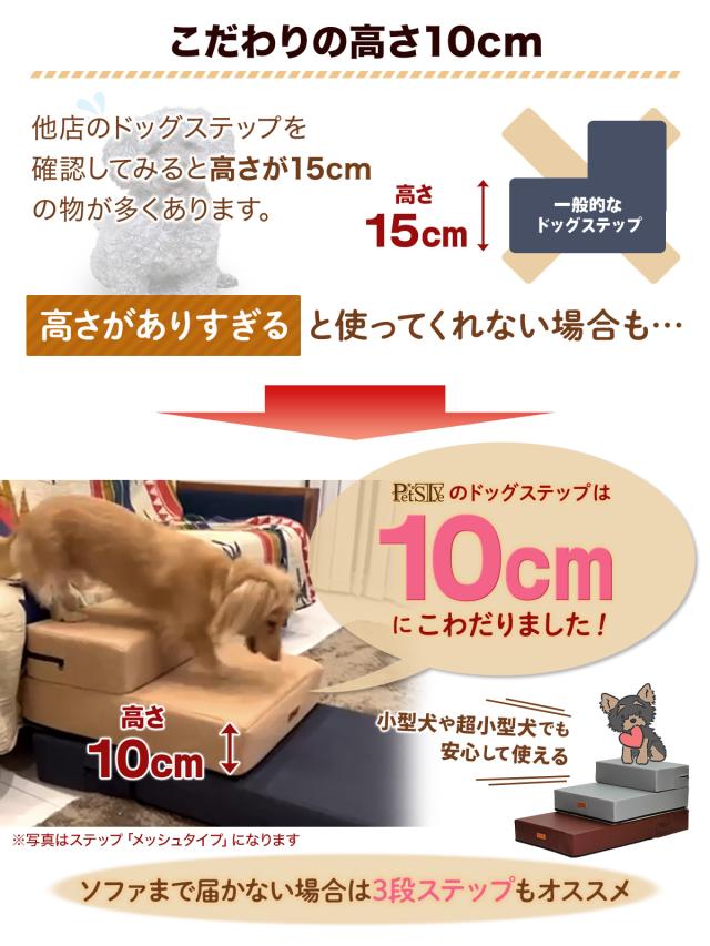 高さ10cmにこだわりました