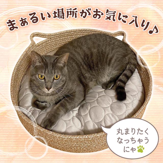 ちぐら型ペットベットに入ったネコのイメージ
