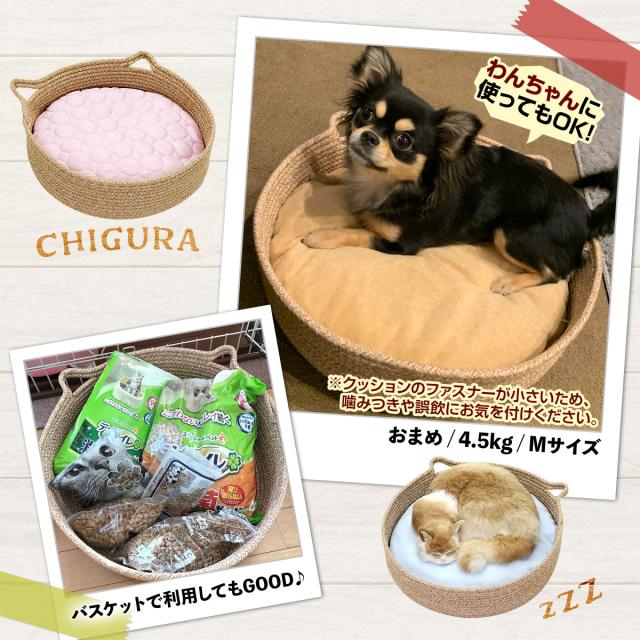 ペットの使用写真2