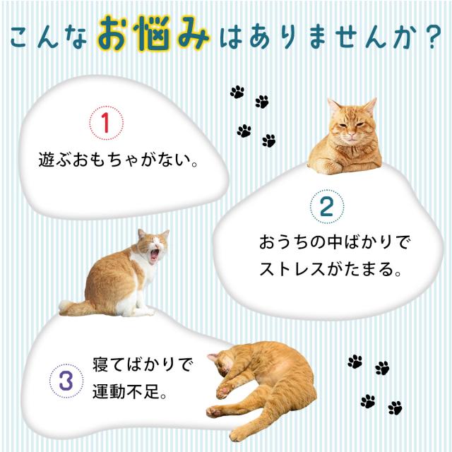 こんなお悩みはありませんか？