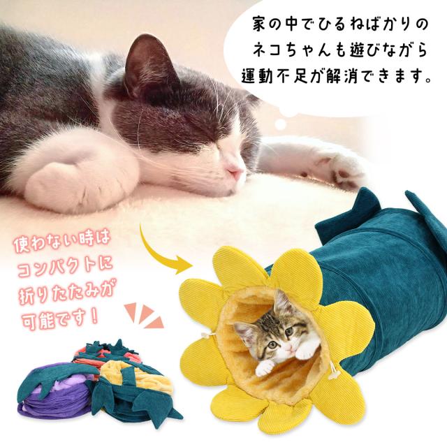 運動不足解消ができます。