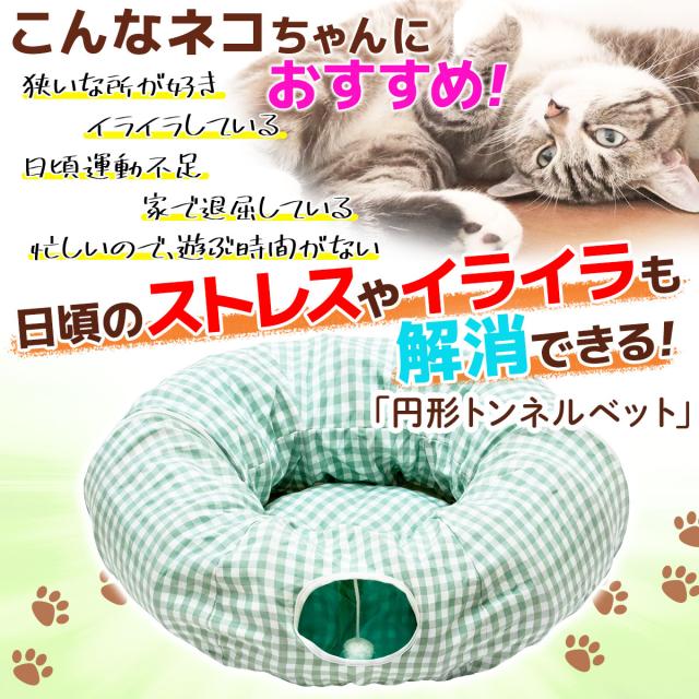 猫ちゃんへの問題提起
