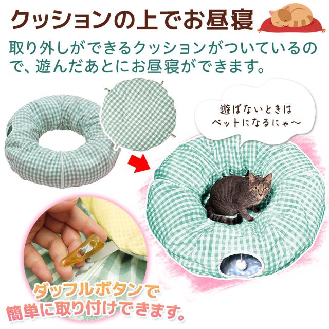 クッションの上でお昼寝できます