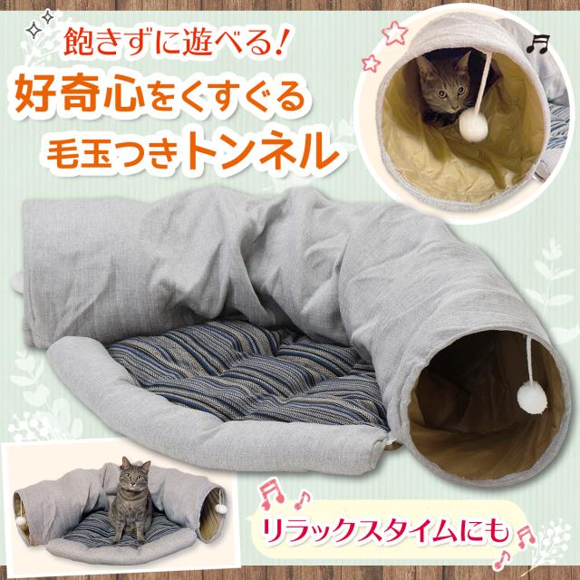 トンネルベッドで遊ぶペット