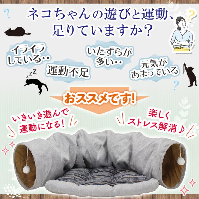 遊びと運動不足の猫ちゃんにおすすめ