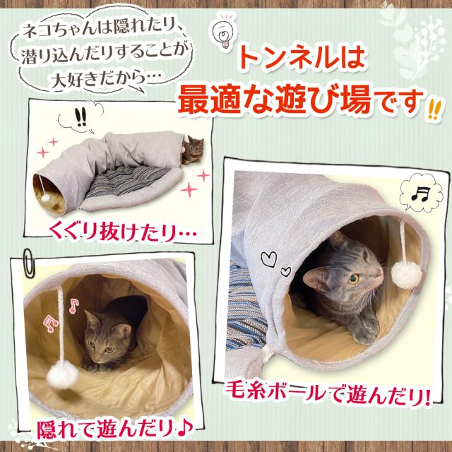 トンネルベットの遊び方