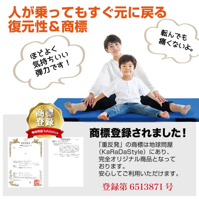 「重反発」が商標登録されました