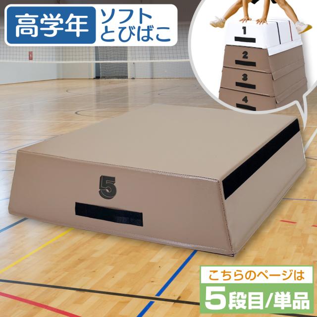 高学年用ソフトとびばこ