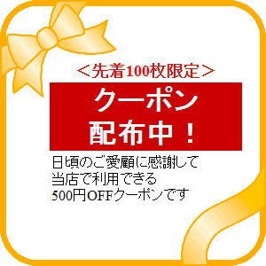 骨盤底サポーター 一般医療機器 Outlet Sale 脱疾治療用器具 1個 送料無料 膀胱や子宮などが下垂していると言われた方に 頻尿でお困りの方