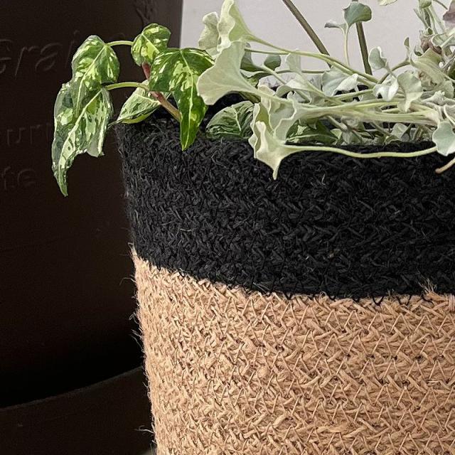 ジュート鉢カバーLサイズ使用例