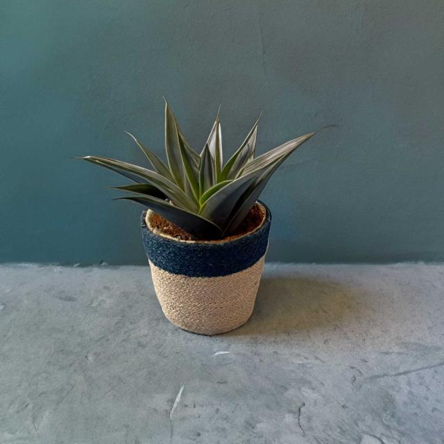 ジュート鉢カバーMサイズ使用例