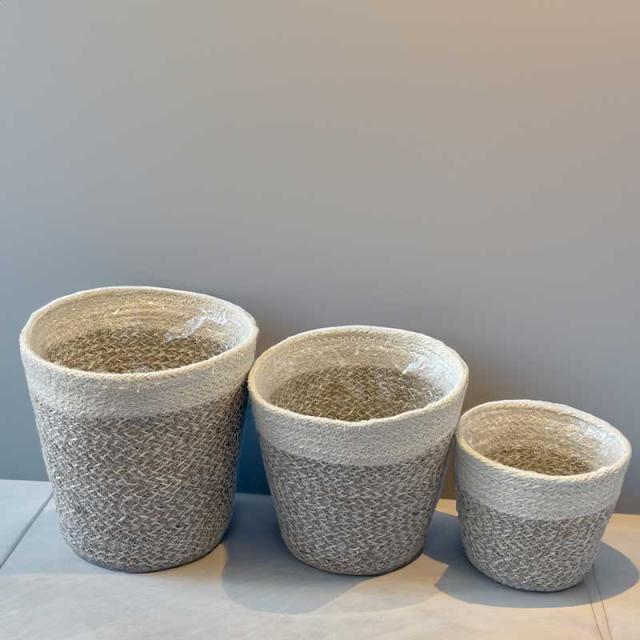 ジュート鉢カバー使用例ミニ観葉植物