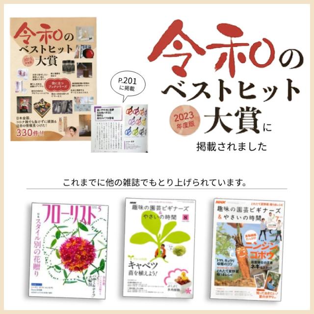 令和のベストヒット大賞フローリストNHK趣味の園芸ビギナーズやさいの時間