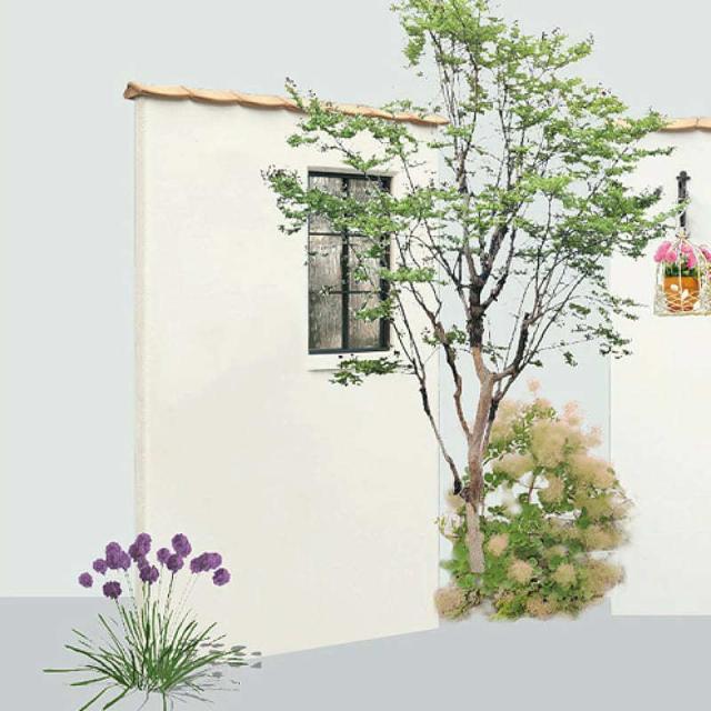 ディーズパティオ ルポ B