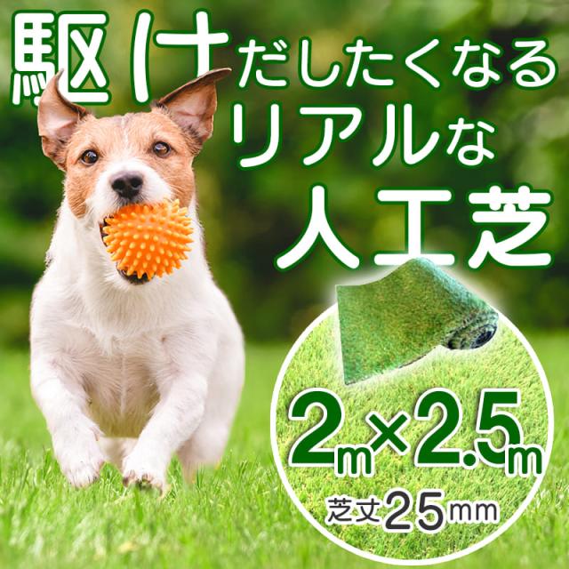 イージーライト25