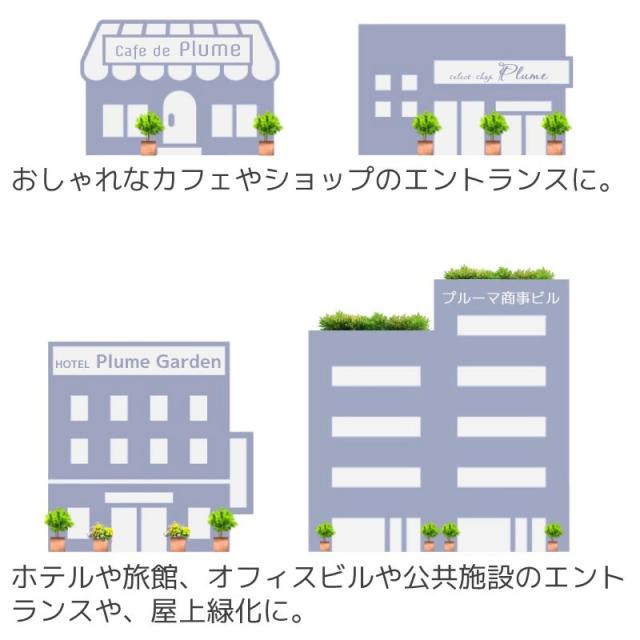 軽量植木鉢コットライトタブポットおしゃれスクエア使用例