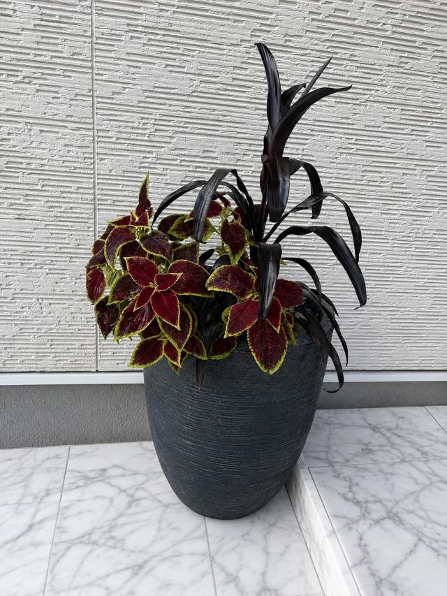capi深型プランター軽量