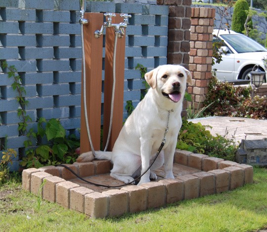 シャワープレイス