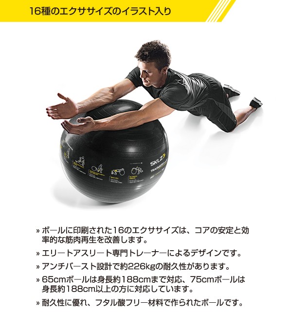 トレーナーボール 直径65cm エアポンプ付 Apd Tb Spt 04 バランスボール エクササイズボール トレーニング ストレッチ 筋トレ Sklz の通販はau Pay マーケット くらしのeショップ 商品ロットナンバー トレーナーボール 直径65cm エアポンプ付 Apd Tb Spt 04 バランスボール エクササイズボール トレーニング ストレッチ 筋トレ Sklz の通販はau Pay マーケット くらしのeショップ 商品ロットナンバー