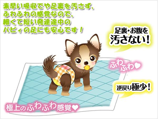 パピィにも安心！