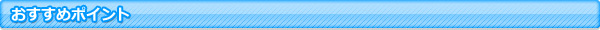 おすすめポイント