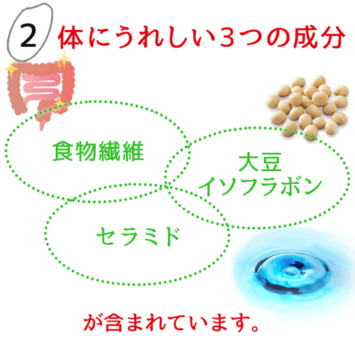 送料無料 ダイエット食品 ダイエット 健康 ダイエット・健康 マンナン 低糖質 電子レンジ こんにゃく ごはん コンニャク 米 ご飯 カロリーダウン こんにゃく米 大豆イソフラボン 糖質制限 ご飯