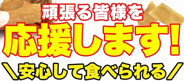 ダイエットこんにゃくチップ こんにゃく ダイエット チップス おやつ 国産 ダイエット お菓子 低カロリー おやつ ヘルシー 乾燥 食品 おやつ