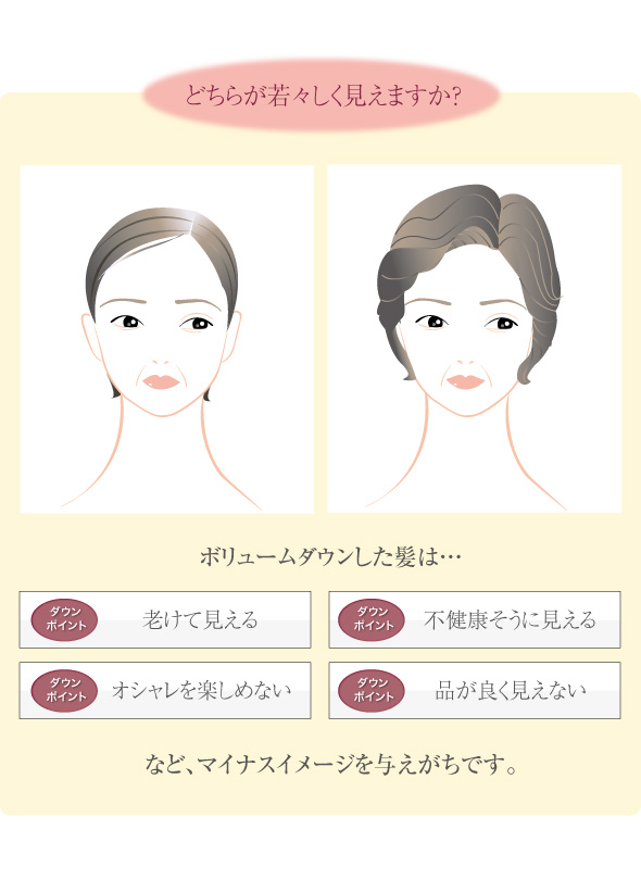 美容師さんの艶髪ブラシボリュームアップ ヘアブラシ 豚毛 ブロー ボリュームアップ クシ ブラシ くし 日本製 豚毛ブラシ セラミド 髪 ヘアケア 艶髪 櫛