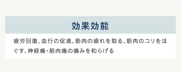 プロイデアマッサージャーNEMOMI背中