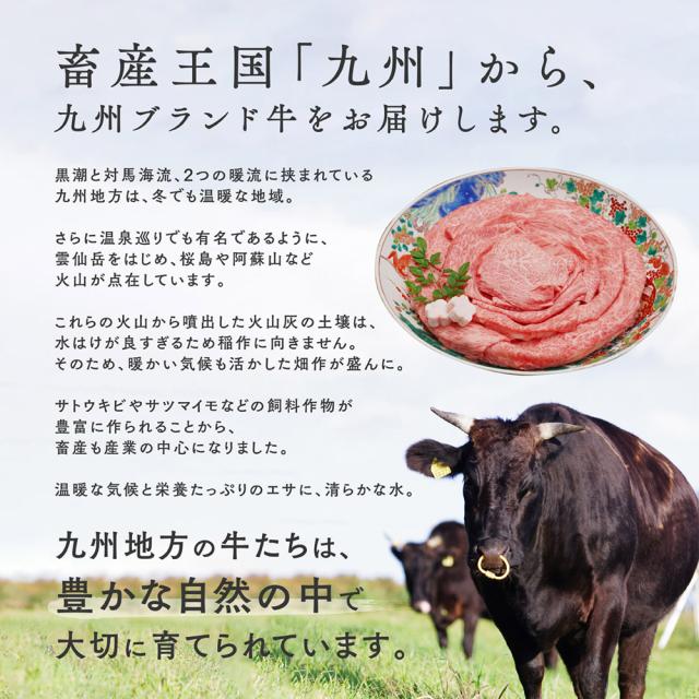 九州ブランド牛限定A5等級クラシタ シート巻き