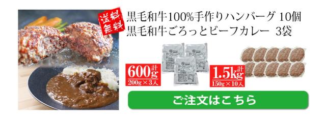ビーフカレー・ハンバーグセット