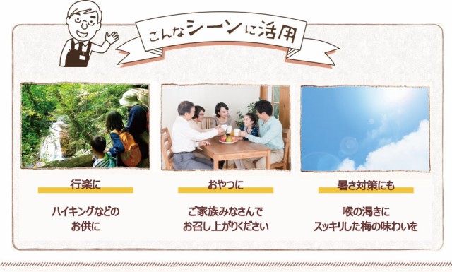 送料無料 無添加 南高梅べっこう飴 50粒 種なし メール便（代引不可） プレゼント うめ あめ キャンディの通販はau PAY マーケット  おやつのへや au PAY マーケット－通販サイト