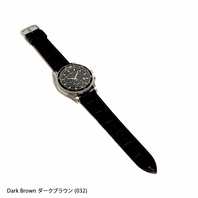 ハミルトン　ジャズマスター HAMILTON JazzMaster にぴったり BOLLE 装着イメージ