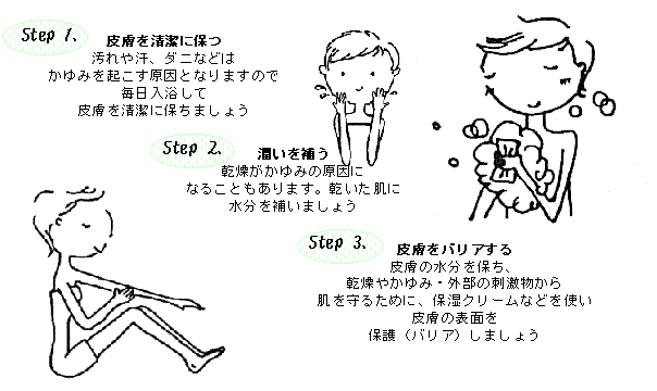 プローラ使い方