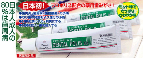 デンタルポリス説明