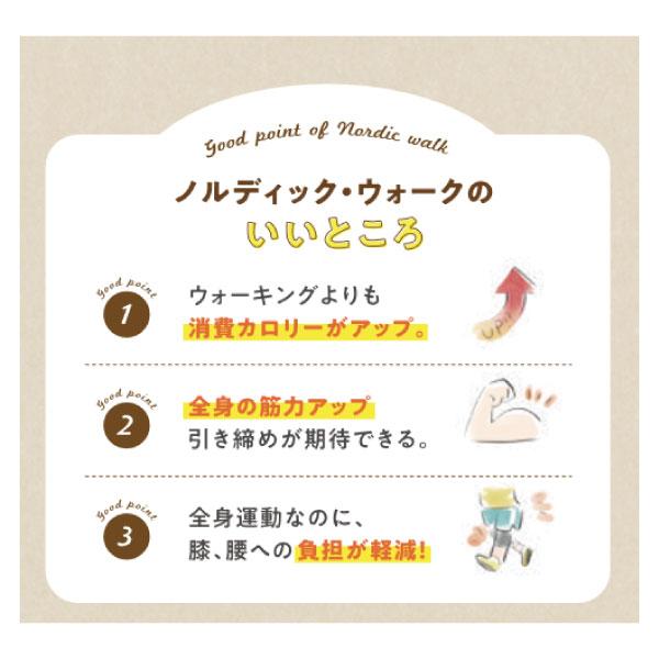 2本組セット ハタチ メンズ レディース ポータブルアルミDフィット