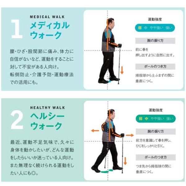 2本組セット ハタチ メンズ レディース ポータブルアルミDフィット ウォーキング用品 ノルディックウォーキング ポール ストック 介護 運動 散歩 ブラック 黒 ブルー レッド 青 赤 グリーン 緑 送料無料 HATACHI WH1050 2本組セット ハタチ メンズ レディース ポータブルアルミDフィット